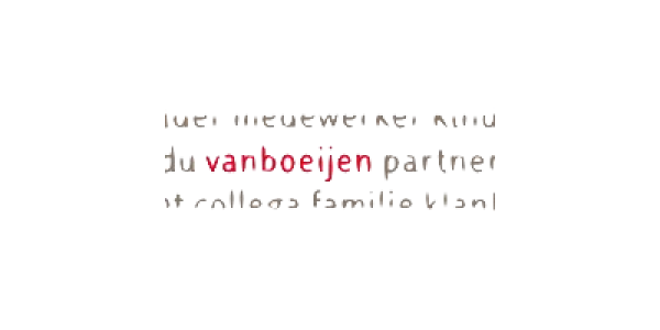 Logo Vanboeijen